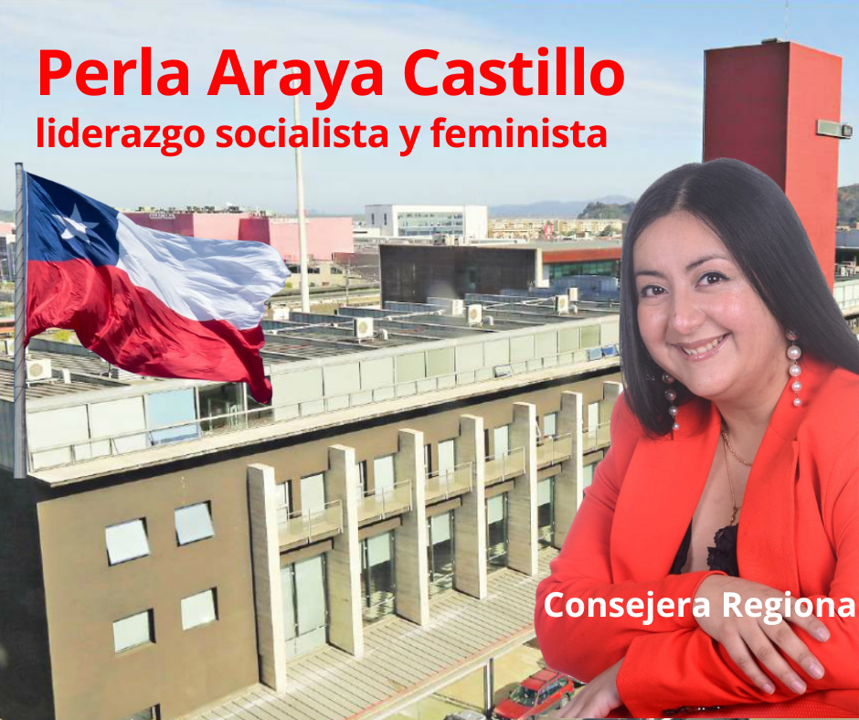 Perla Araya Castillo, nueva voz socialista en el Consejo Regional del Biobío